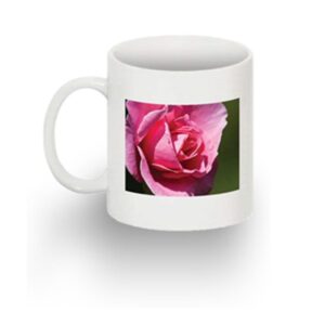 Standard 11oz mug with 1 image LH - 3x3 Square