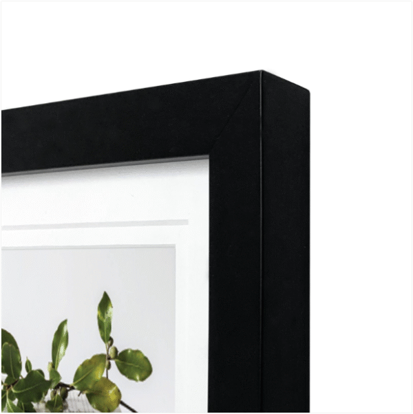 Classic Black Timber Photo Frames - Opticon Framing