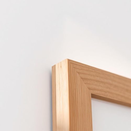 cat-frames-J8S3lVoG